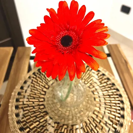 2mari Holiday home Bari