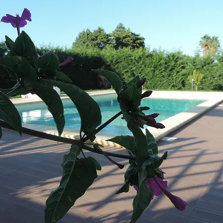 Villa San Vito Dei Normanni فيلة *